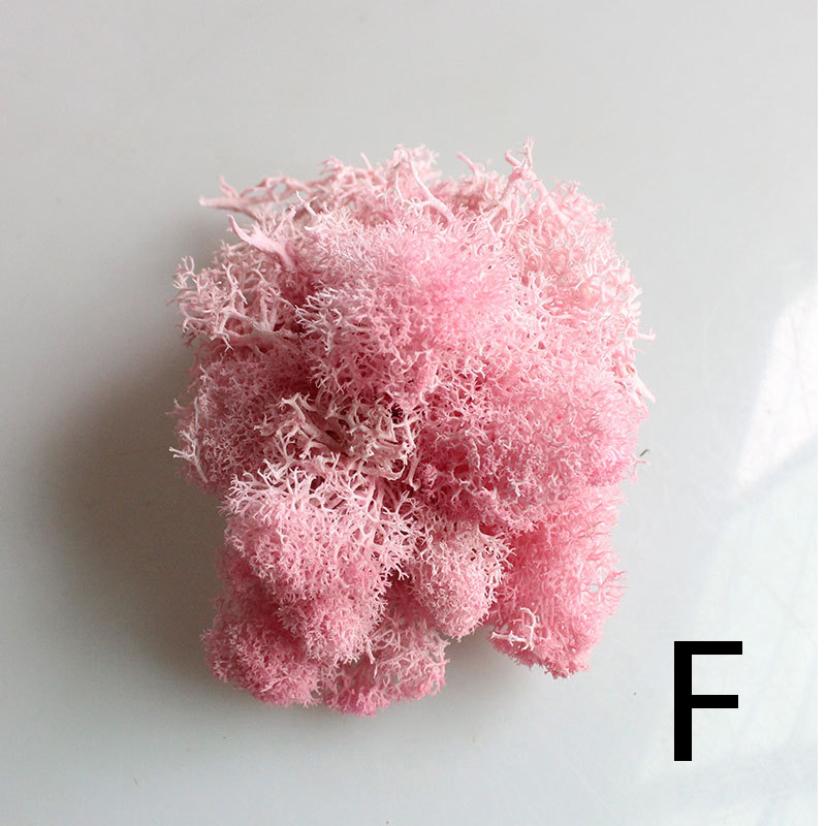 

10г Имитация Растений Вечный Мох Сад Домашний Декор Стена DIY Цветочный Материал Мини Сад Микро Ландшафтные Аксессуары