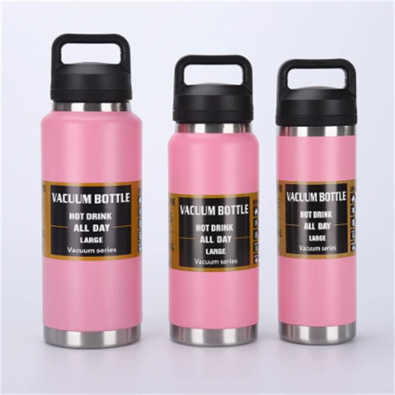 Ally 304 Stainless Steel Insulated Sports Water Bottle