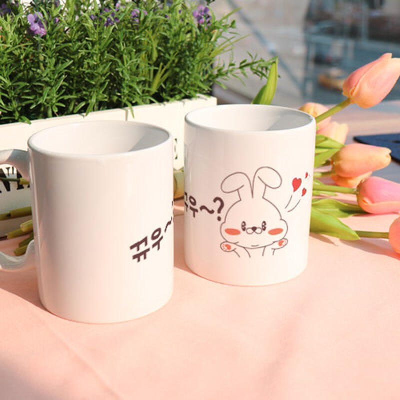 cs866-Design Mug 2p-Cute Rabbit