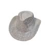 Lace New Gold Silk Western Cowboy Hat Women's Stage Woolen Hat Top Hat Men's and Women's Party Holiday Hat