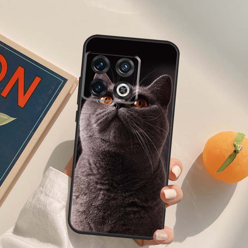 Beautiful Grey British Shorthair Cat Case For OnePlus Nord 5 CE 2 3 4 Lite N20 N30 OnePlus 15 13 12 11 13T 10T 10R 12R 13R Cover