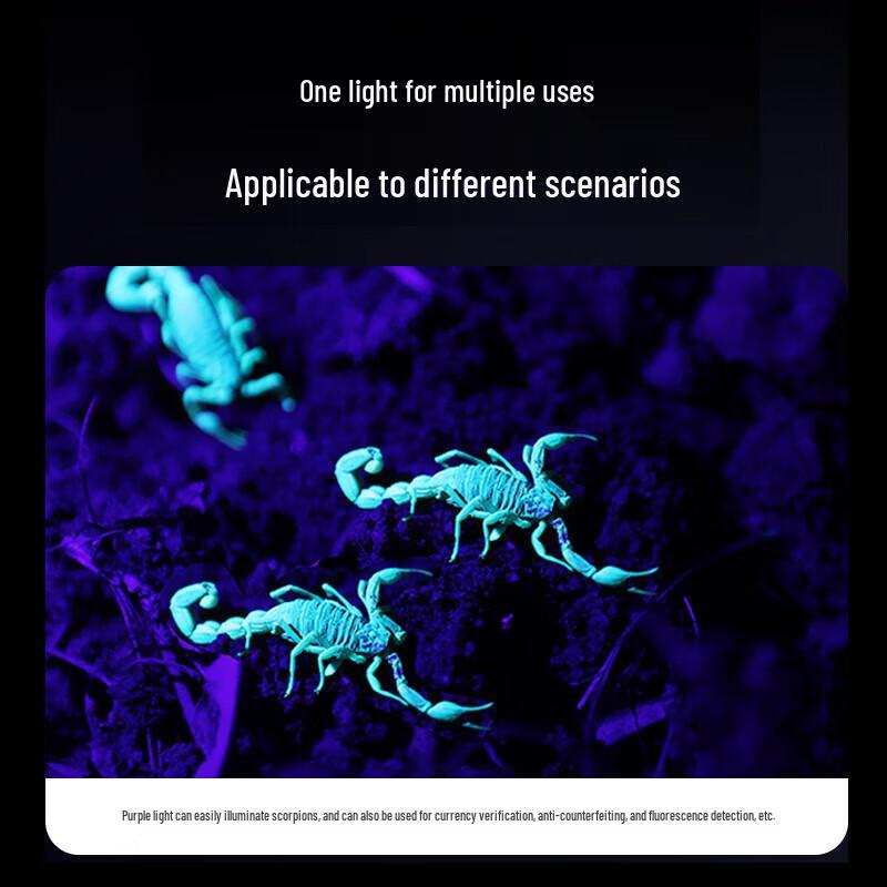 SHENYU Dual-Source UV/LED Rechargeable Flashlight