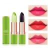 Aloe Vera Moisturizing Warm Color Changing Jelly Lipstick, Moisturizing Lip Gloss Lip Care Lip Care Lip Balm