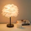 Ins Romantic Feather Table Lamp, Dimmable Bedside Night Light for Bedroom Decor