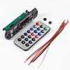 Dual-Channel Bluetooth Speaker Amplifier Kit with FM Light Spectrum