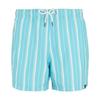 Regatta Mens Loras Stripe Swim Shorts