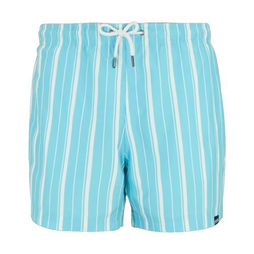 Regatta Mens Loras Stripe Swim Shorts