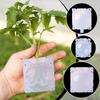 Plant Propagation High-pressure Box Cutting Grafting Rooting Box Garden Tree High-altitude Pressure Branch Rooting Propagator Ball Gardening