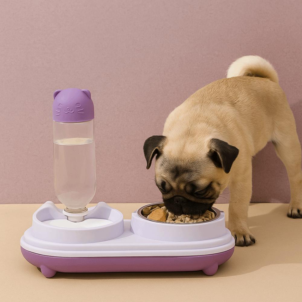 Dual Purpose Cat Drinking Bowls Spill Proof Cat Feeding Bowl Cat Double Bowl  Home