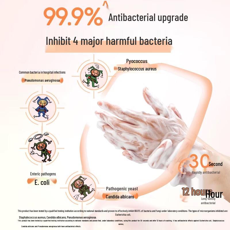 Lion QuJing Foaming Antibacterial Hand Wash