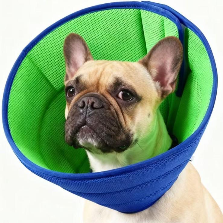 Elizabethan Pet Collar: Protective, Anti-Lick/Bite/Scratch Neck Ring for Cats & Dogs