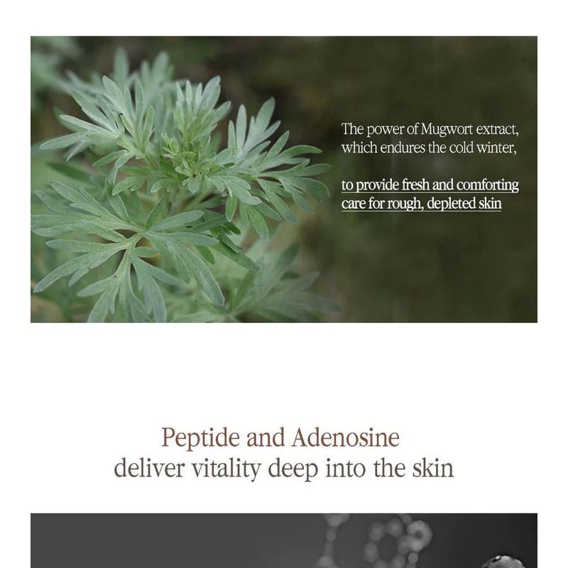 Pyunkang Yul - Black Tea Line Gift Set