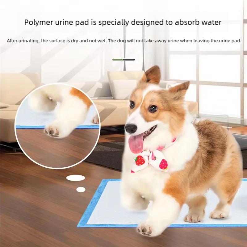 Super Absorbent Pet Diaper Dog Disposable Puppy Training Pee Pads Quick Dry Surface Mat Clean Cushion Dogs Cats Supplies