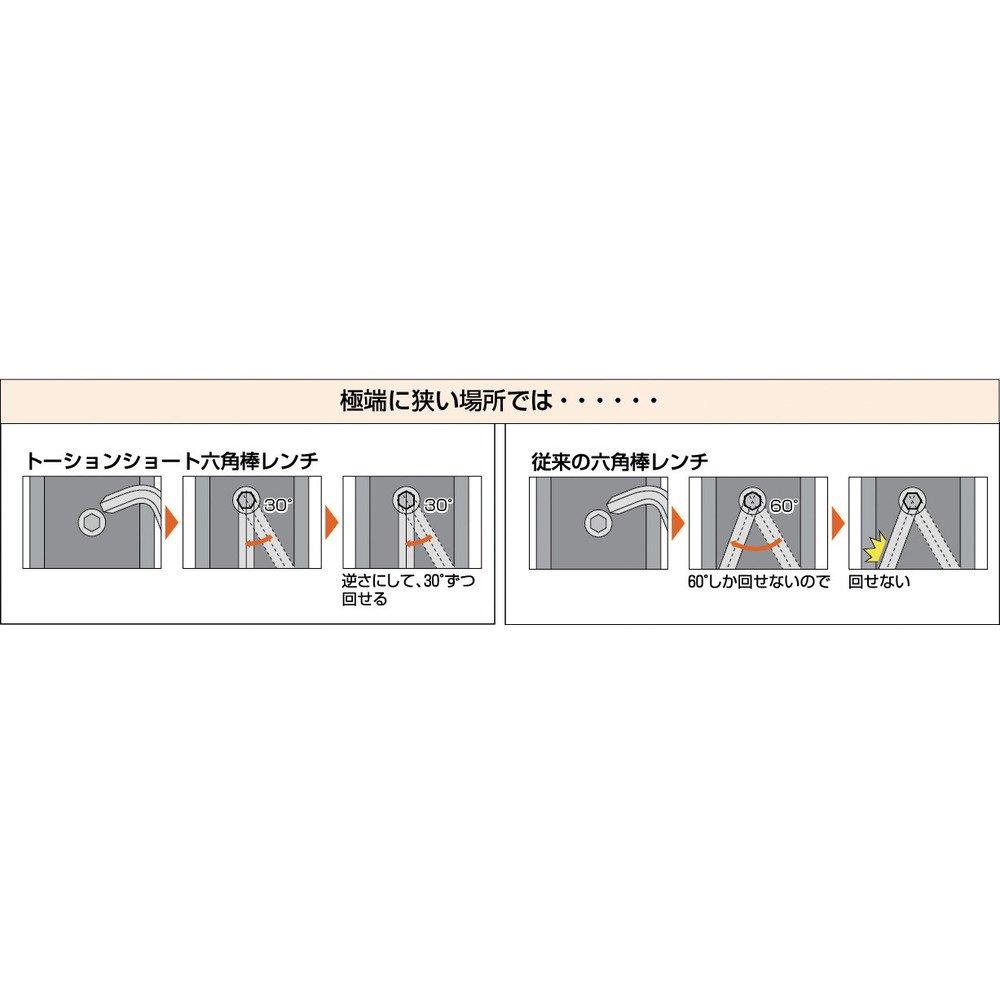 TRUSCO Torsion Hex Wrench, 10.0mm, TTX-100