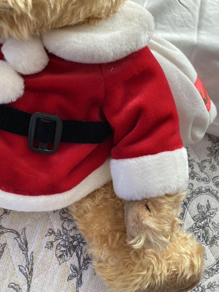 [USED] Santa Claus teddy bear backpack