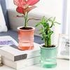 5pcs Lazy Hydroponic Flower Pot Automatic Water-Absorbing Flowerpot Transparent Double Layer Plastic Self Watering Planter Office