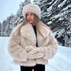 Winter Women's Fashion Temperament Celebrity Style Artificial Fur Fur Jacket Big Fur Collar Top Trend