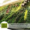 Yousheng Wall Planting Bag Vertical Gardening Grow Bag Breathable Wall Planter with Multiple Pockets for Office Home Balcony Indoor