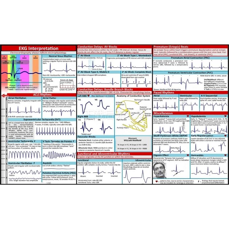 Professional Electrocardiogram Instruction Poster Double Side EKG Pocket Guide Reference for Students Nurse Doctor
