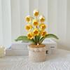 Crocheted Potted Bell Flower Decoration Handmade Knitting Floral Ornament Artificial Hand Woven Flower Home Office Table