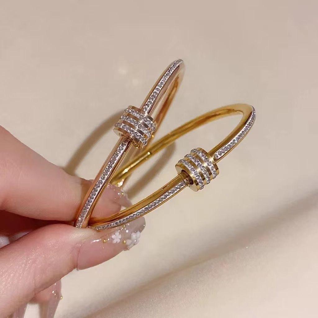 Bracelet Élégant en Acier Titane Incrusté de Zircon pour Femmes - Cadeau de Luxe pour Petite Amie ou Meilleure Amie