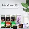 10ml Water-Soluble Aromatherapy Essential Oil - Lavender, Sandalwood, Rose Fragrance for Home Diffuser