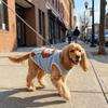 Thicken Dog Lion Pattern Costume Warm Dog Thermal Vest Cartoon Pet Sweater  Autumn Winter