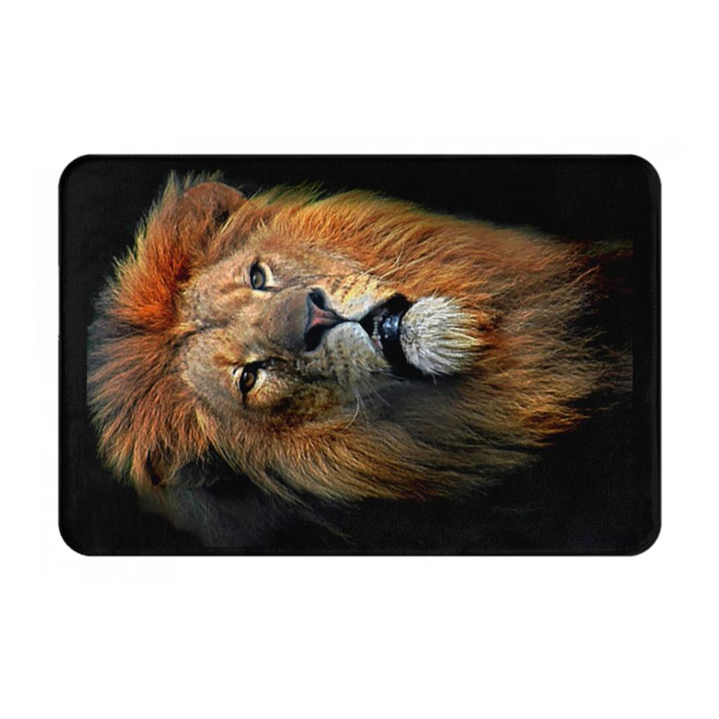 African Lion Non-slip Doormat Floor Mat Cushion Carpet Rug for Kitchen Entrance Home Bedroom Footpad Mats