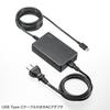 Sanwa Supply USB Charger ACA-PD94BK