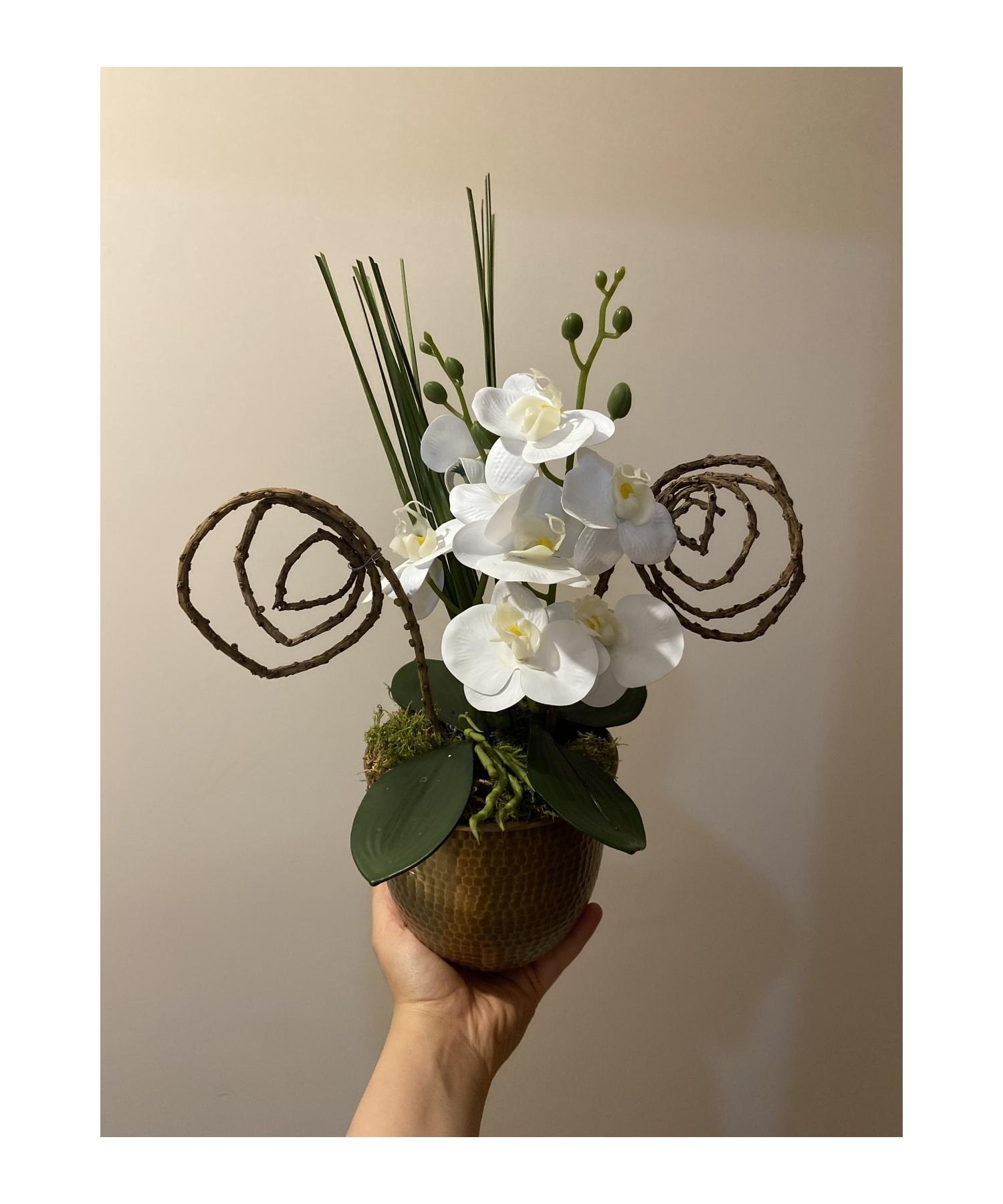 

Композиция из двух веток орхидей