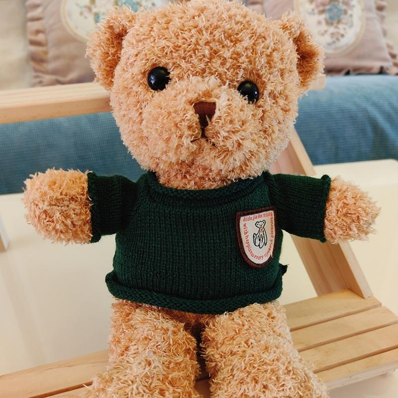 Plush Toy Teddy Bear Doll Plush Toy Doll Gift Animal Bear Doll Gift Throw Pillow