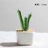 Handmade Glass Blown Cactus Cute Crystal Art Cactus Statue Collection Desk Desktop Simulation Plant Decoration