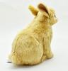 BH7022 HANSA Netherland Dwarf 21