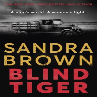 Blind Tiger by Sandra Brown Paperback Book 9781529341737
