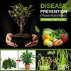 120g Estimulador de Raíces-Fertilizante Para Plantas de Interior y Exterior Revitaliza Suelos, Estimula el Crecimiento Salud Floreros Crecimiento Fertilizar