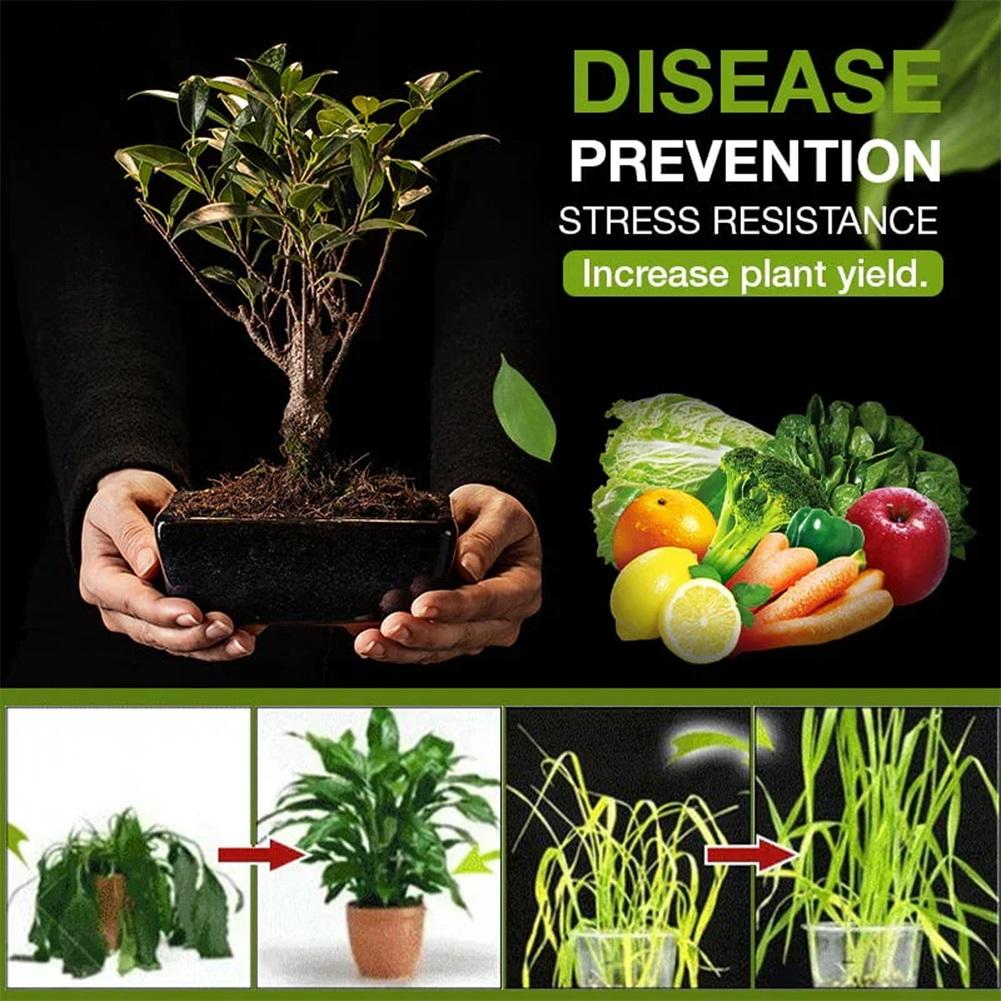 120g Estimulador de Raíces-Fertilizante Para Plantas de Interior y Exterior Revitaliza Suelos, Estimula el Crecimiento Salud Floreros Crecimiento Fertilizar
