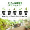 Happy Spring Hydroponic Pots (6# Black_12 pcs)