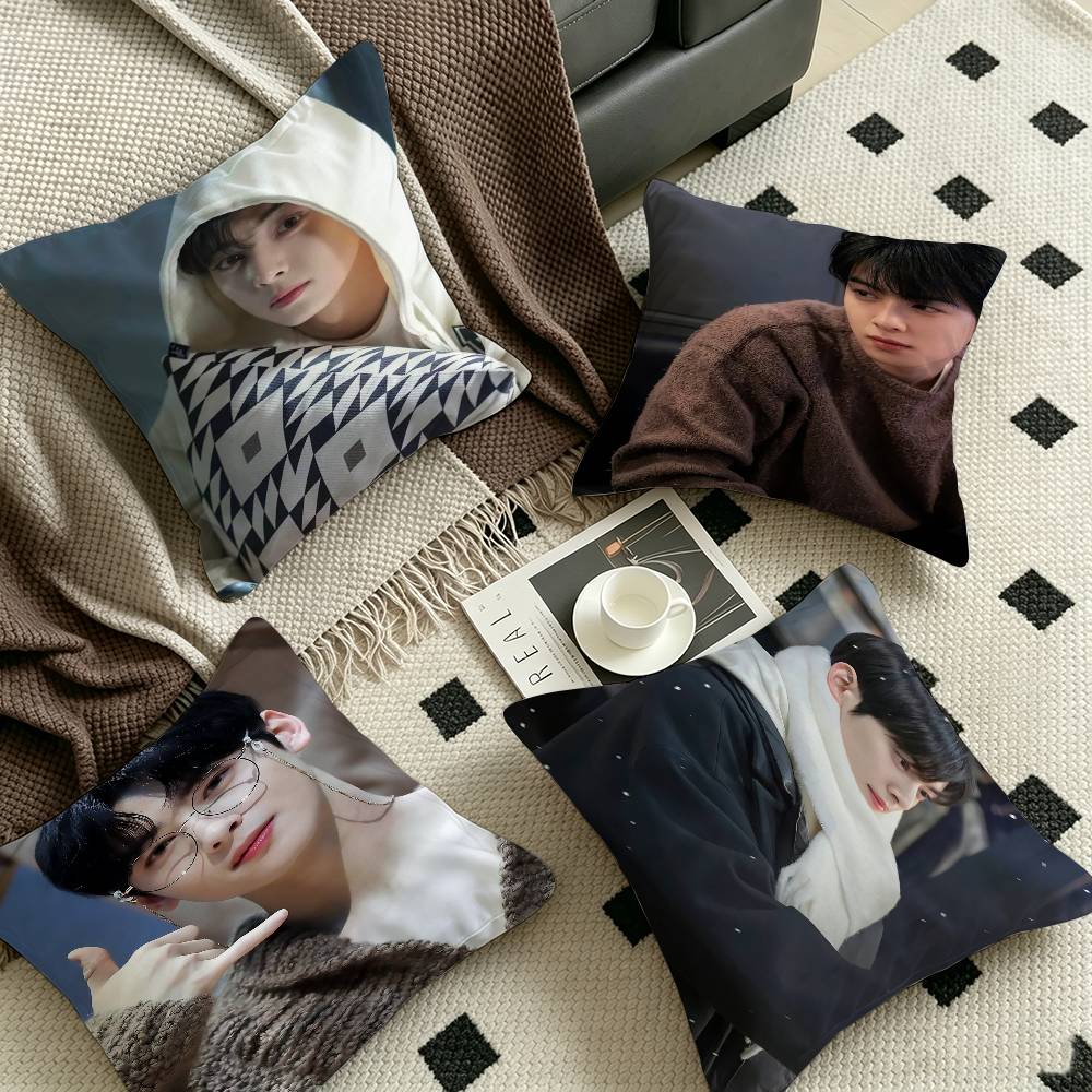 Singer C-Cha EunWooS Cushion Cover Decorative Pillow Sofa Home Decor Case Pillow Cases