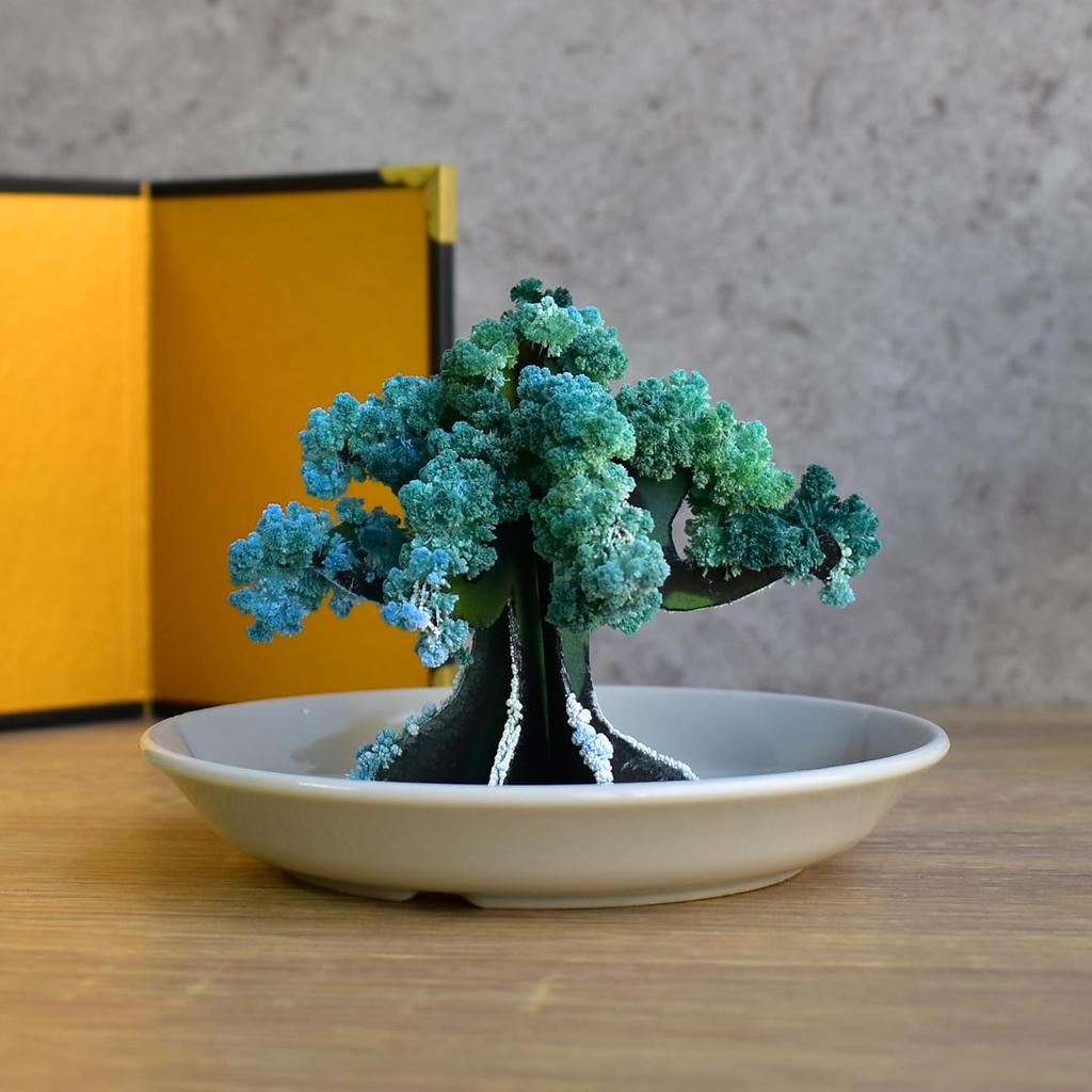 Chatani Leafy Tabletop Bonsai, H8 X W12 X D12cm, 39-031 [FunScience], Made In Kyoto, Japan