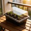 Seeding Starter Tray Seedling Nursery Growing Observing Growth Easy To Use