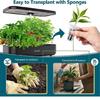 166pcs  Pods Kits Indoor Hydroponics Growing System with Labels Grow Basket