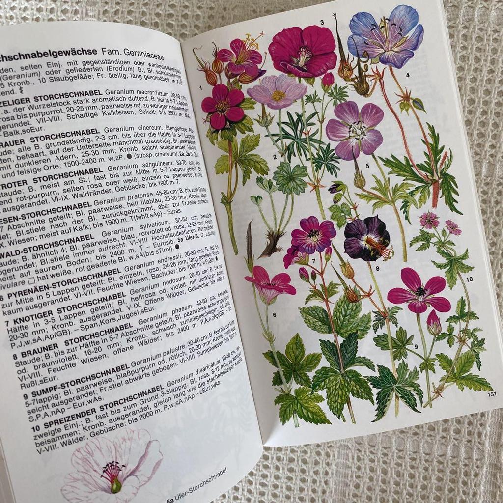 [USED] 1980, Plenty of illustrations, over 3000 items, Marjorie Blamey's Alpine Plant Encyclopedia