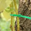 400/200Pcs Gardening Ties Adjustable Reusable Garden Ties Plant Support Shrubs Fastener Tree Locking Nylon Plastic Ties Tools