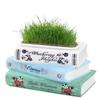Book Shaped Vase Small Book-Shaped Decorative Planter Ceramic Versatile Planter Table Centerpieces for Bookshelf Bedroom Offices