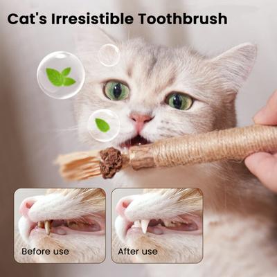Bastoncino Naturale da Masticare per Gatti Bastoncino d'Argento per Gatti Bastoncino Dentale Promuove la Salute Orale Resistente al Morso Sicuro da Masticare
