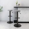 VidaXL Set of 2 Bar Stools, Pub Chair, Bistro Seat, Furniture for Dining Room Kitchen Living Room Home Interior, 333143