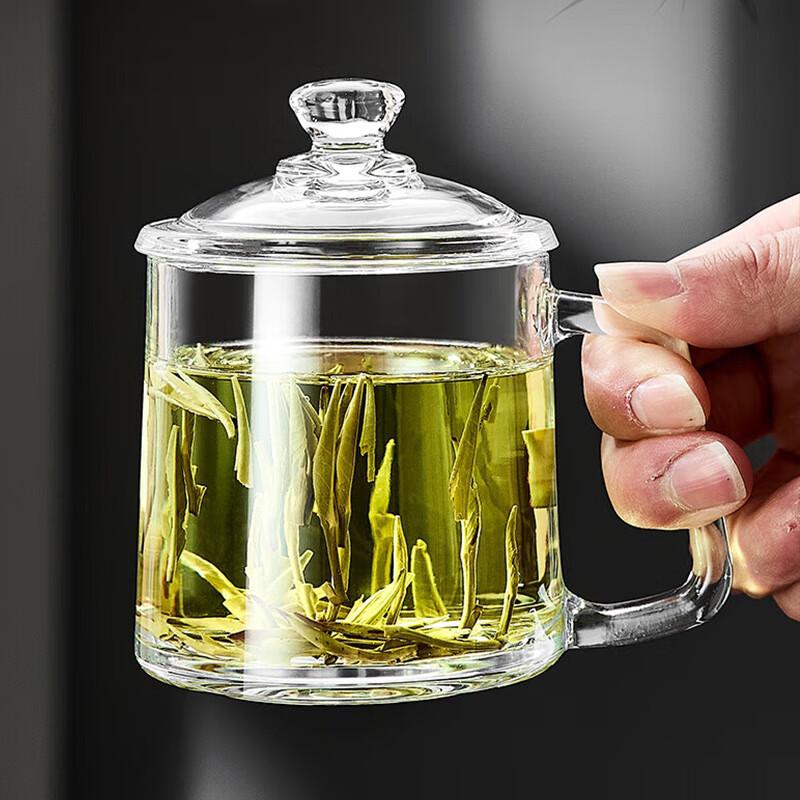 Glass Tea Mug with Lid and Handle (2-Pack, 350ml)