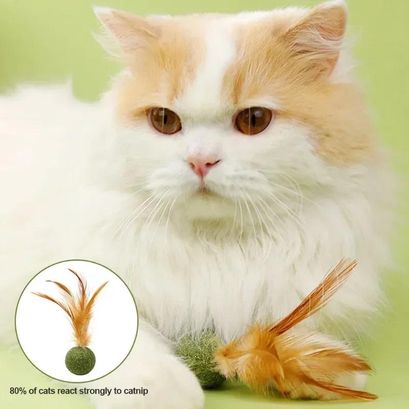 Cat Mint Toy Catnip Feather Ball Toy for Cats Teeth Cleaning Hairball Control Fresh Breath Chew Toy Interactive Play Chewing Toy