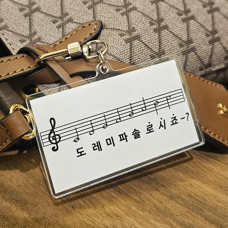 You are a solo bag key ring useless funny gift car key