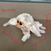 Little Spider Lucas Jumping Spider Plush Toy Doll
